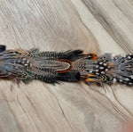 Western Feather Falcon Hat Band