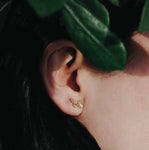 Textured Butterfly Studs| Bronze