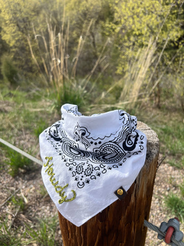 Howdy Bandana in Green