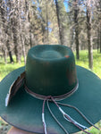 Grizzly Hollow