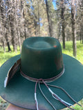 Grizzly Hollow