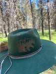 Grizzly Hollow