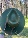 Grizzly Hollow
