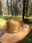 Bison Ridge